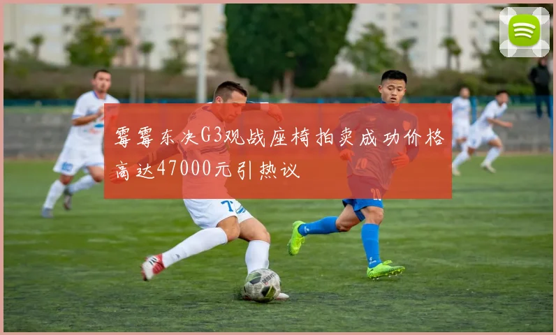 霉霉东决G3观战座椅拍卖成功价格高达47000元引热议