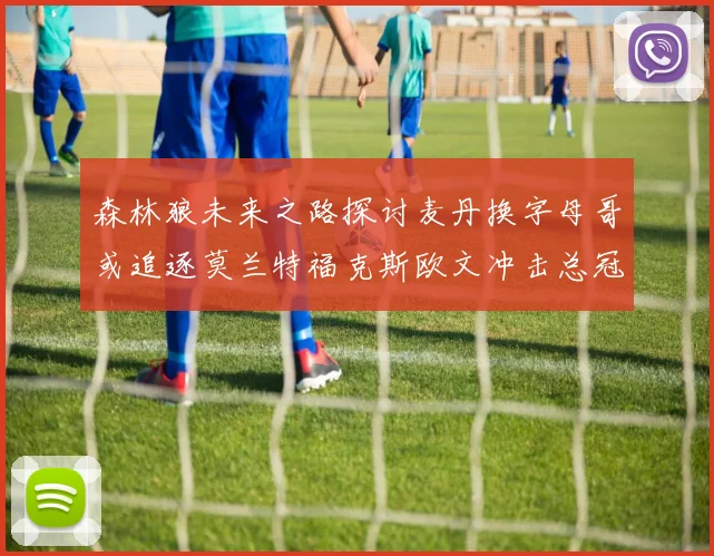 森林狼未来之路探讨麦丹换字母哥或追逐莫兰特福克斯欧文冲击总冠军