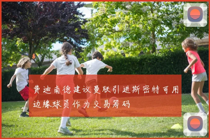 费迪南德建议曼联引进斯密特可用边缘球员作为交易筹码
